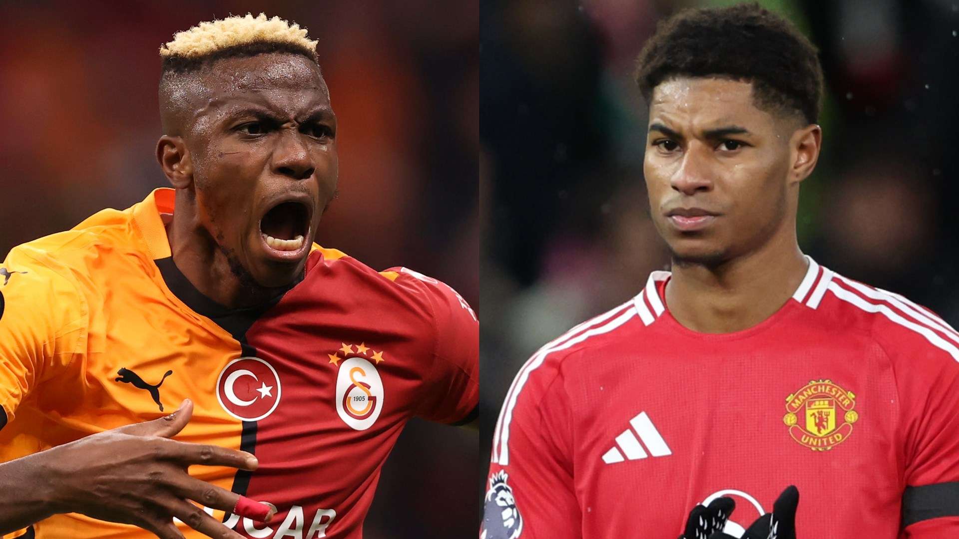 土青年才俊 土青年才俊