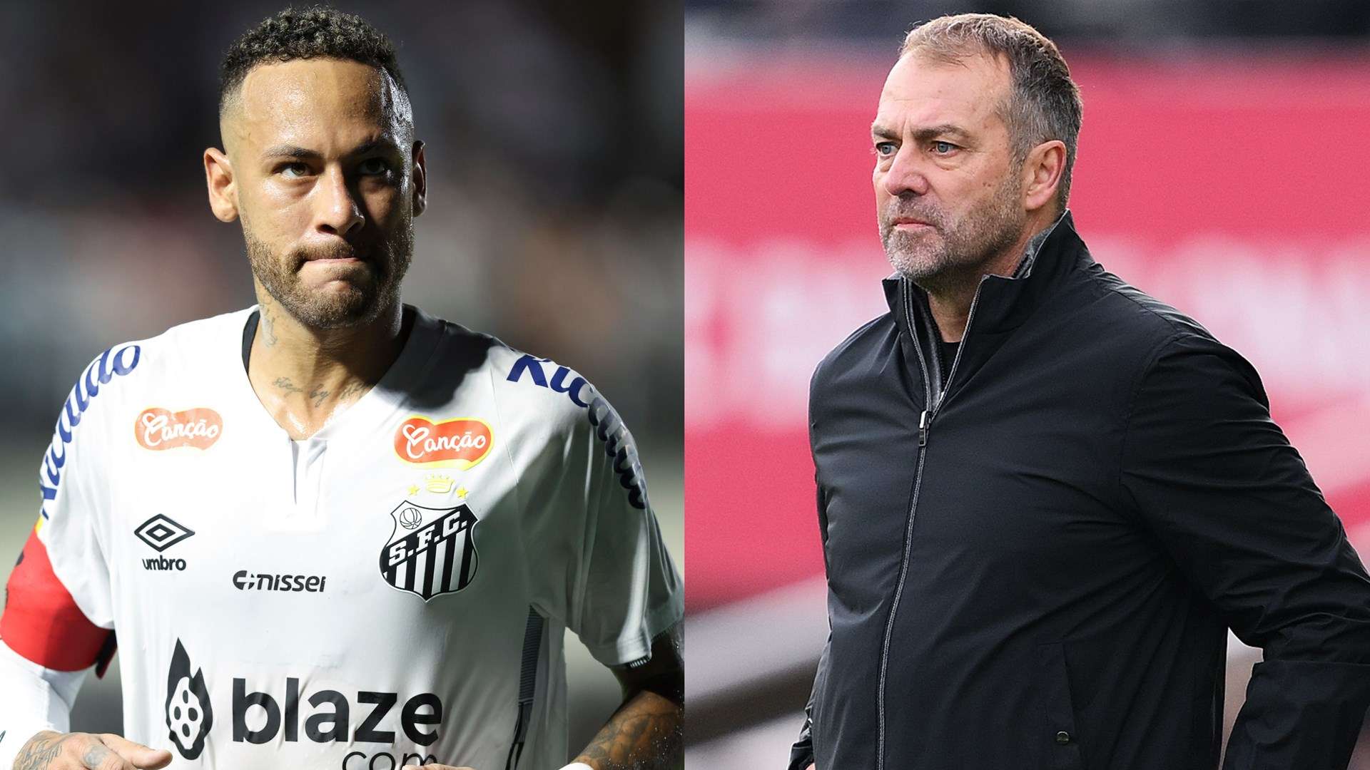 了新的活力 了新的活力